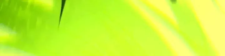 Thảm Họa Tử Linh Sư Chap 247 - Next Chap 248