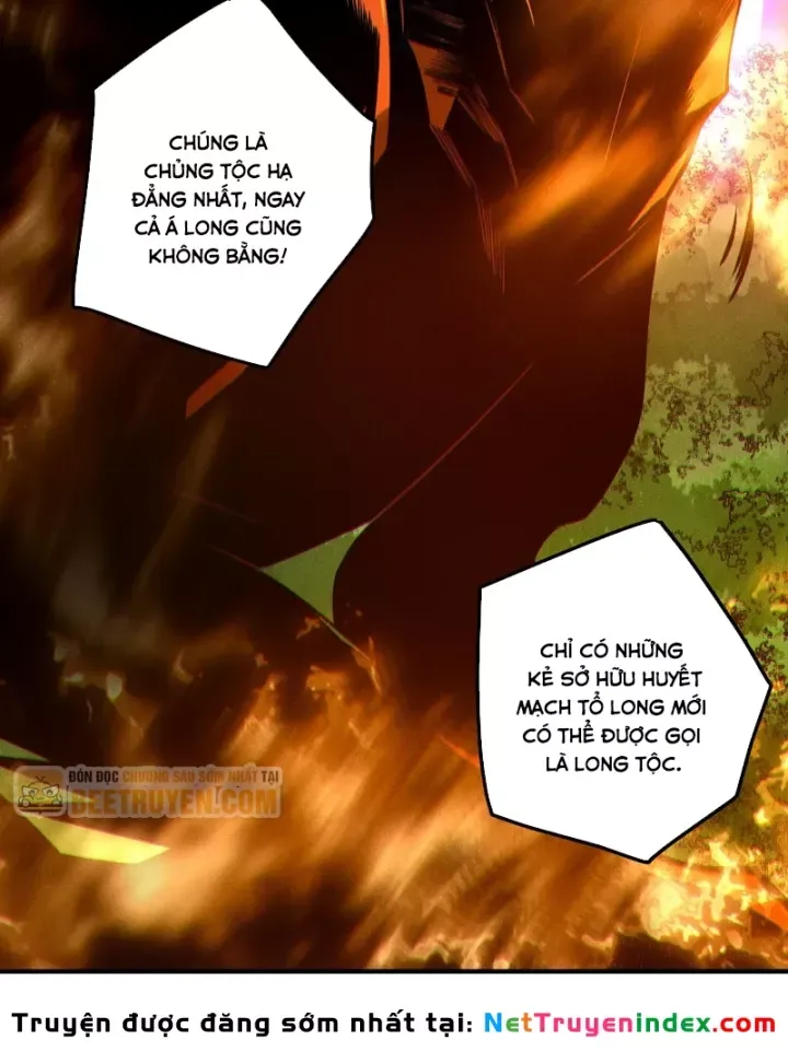 Thảm Họa Tử Linh Sư Chap 263 - Next Chap 264