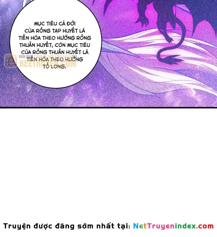 Thảm Họa Tử Linh Sư Chap 263 - Next Chap 264