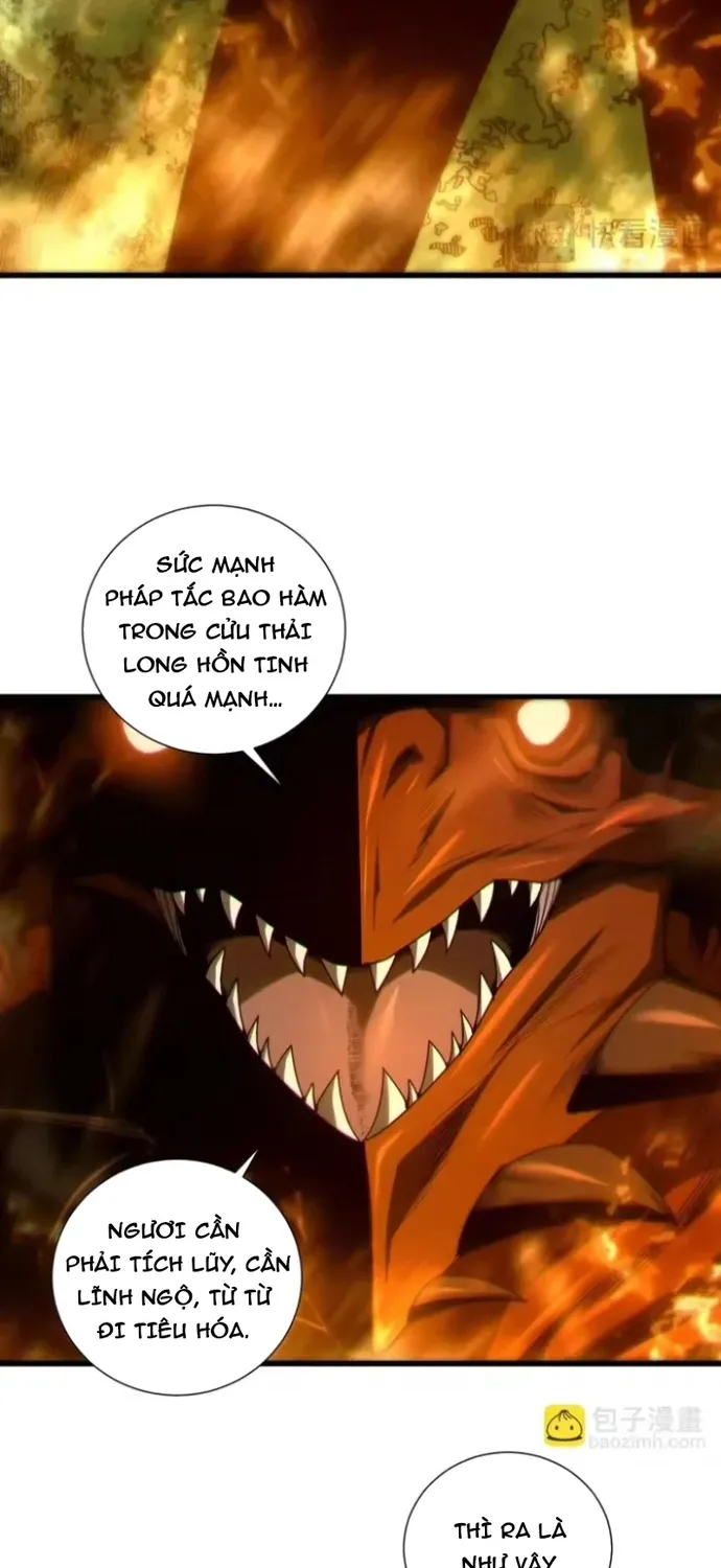 Thảm Họa Tử Linh Sư Chap 265 - Next Chap 266