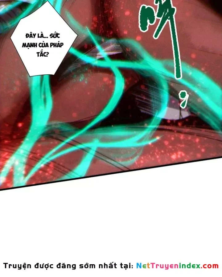 Thảm Họa Tử Linh Sư Chap 266 - Next Chap 267