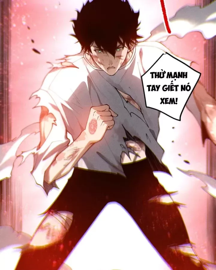 Thảm Họa Tử Linh Sư Chap 266 - Next Chap 267