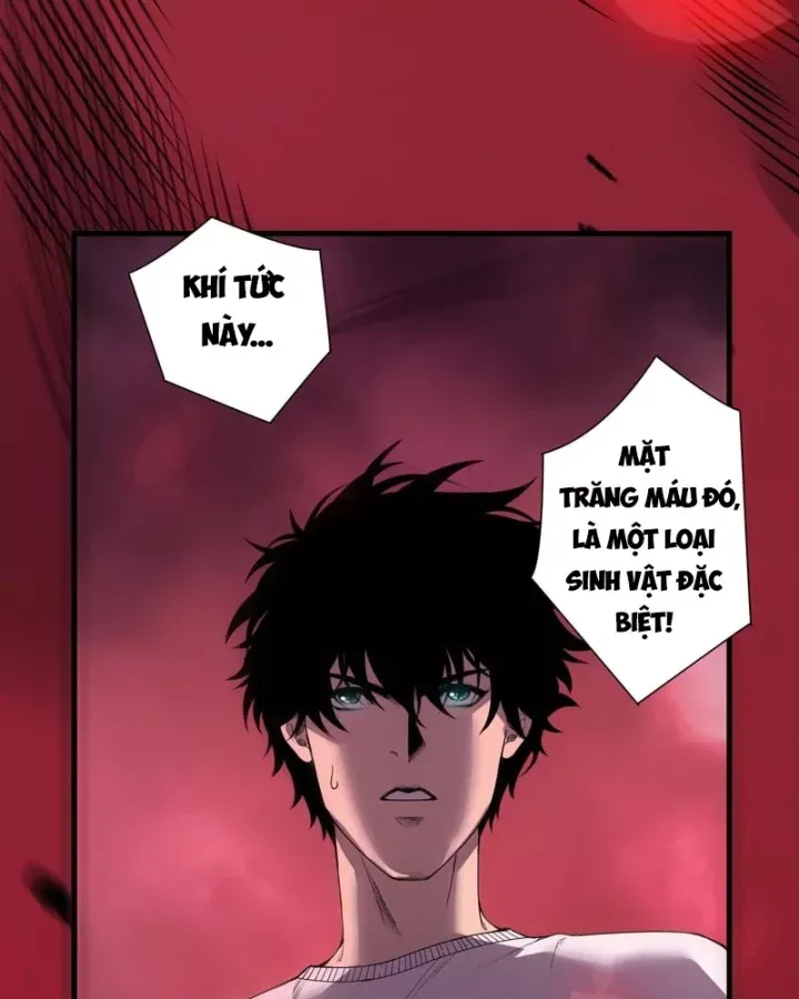 Thảm Họa Tử Linh Sư Chap 266 - Next Chap 267