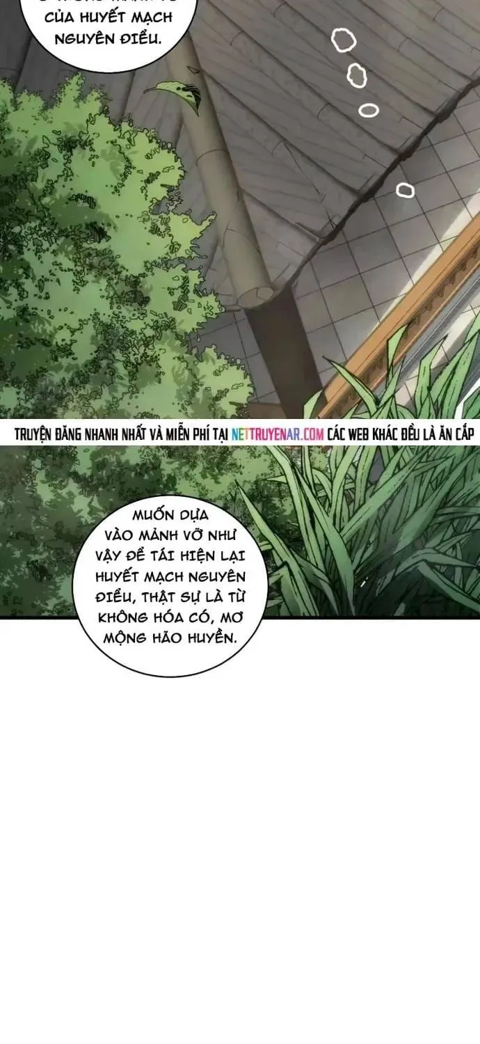 Thảm Họa Tử Linh Sư Chap 271.5 - Next Chap 272.5