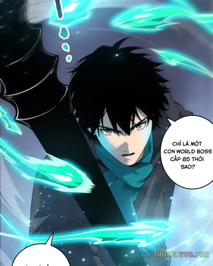 Thảm Họa Tử Linh Sư Chap 272.5 - Next Chap 273.5