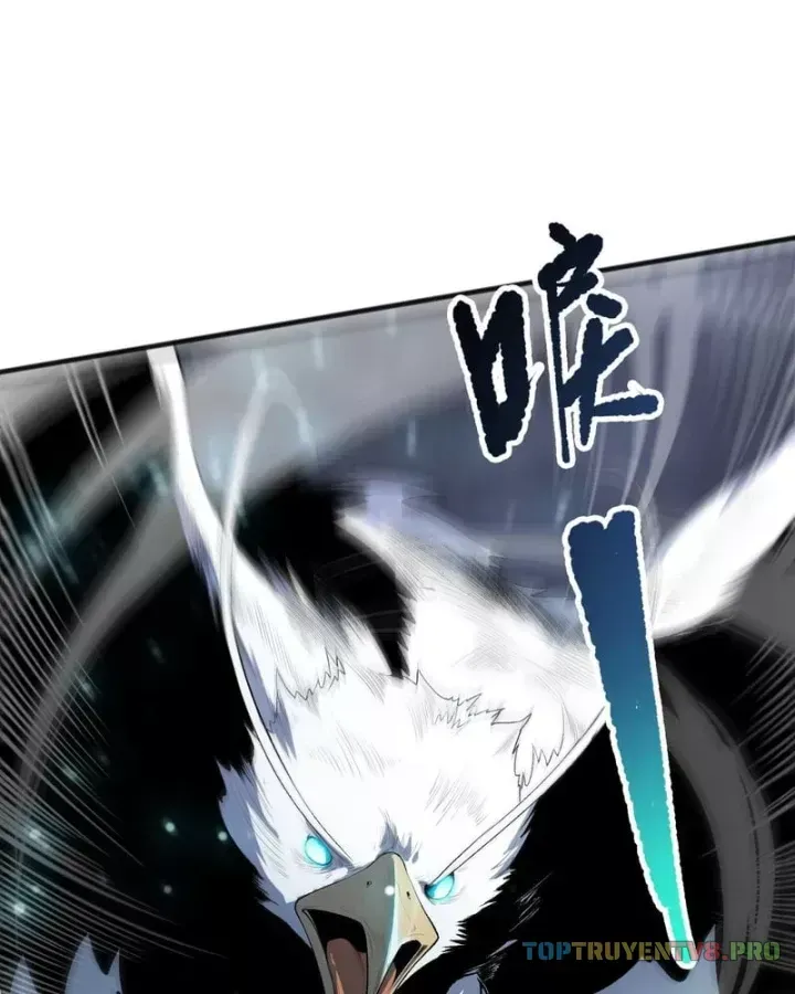 Thảm Họa Tử Linh Sư Chap 272.5 - Next Chap 273.5