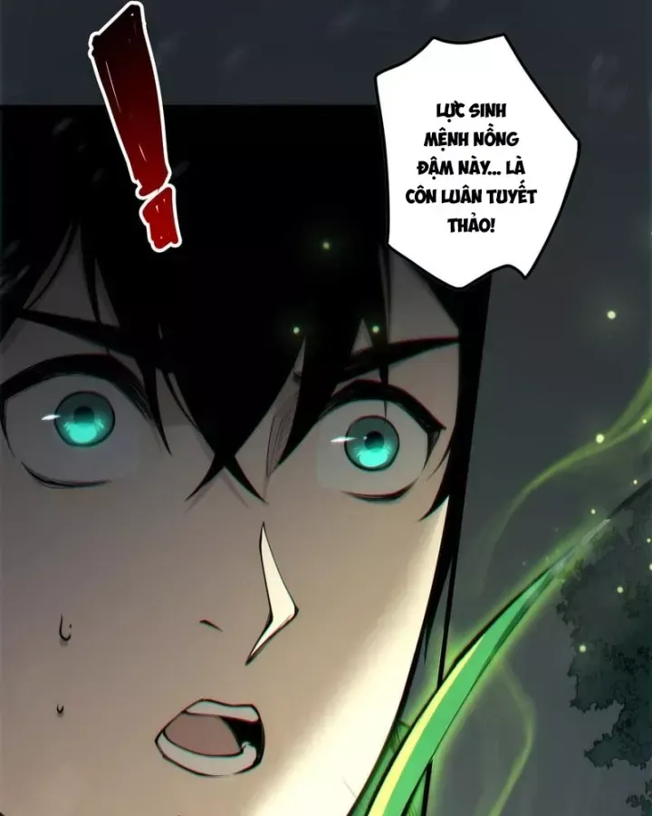 Thảm Họa Tử Linh Sư Chap 272.5 - Next Chap 273.5