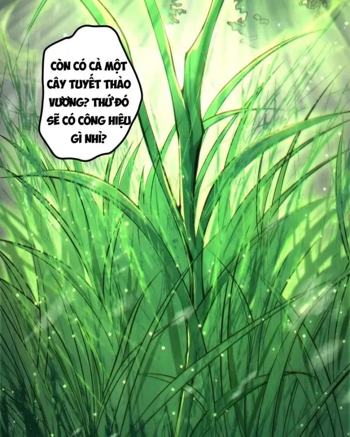 Thảm Họa Tử Linh Sư Chap 272.5 - Next Chap 273.5