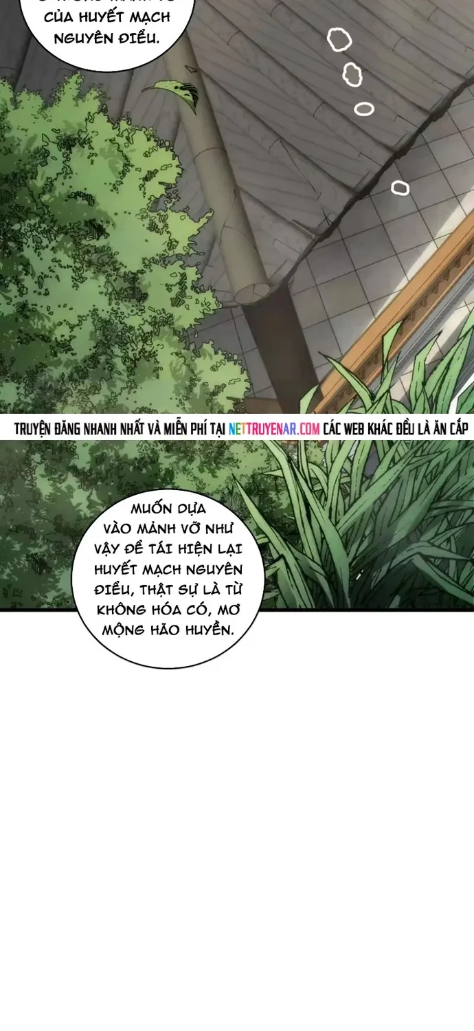 Thảm Họa Tử Linh Sư Chap 272 - Next Chap 273