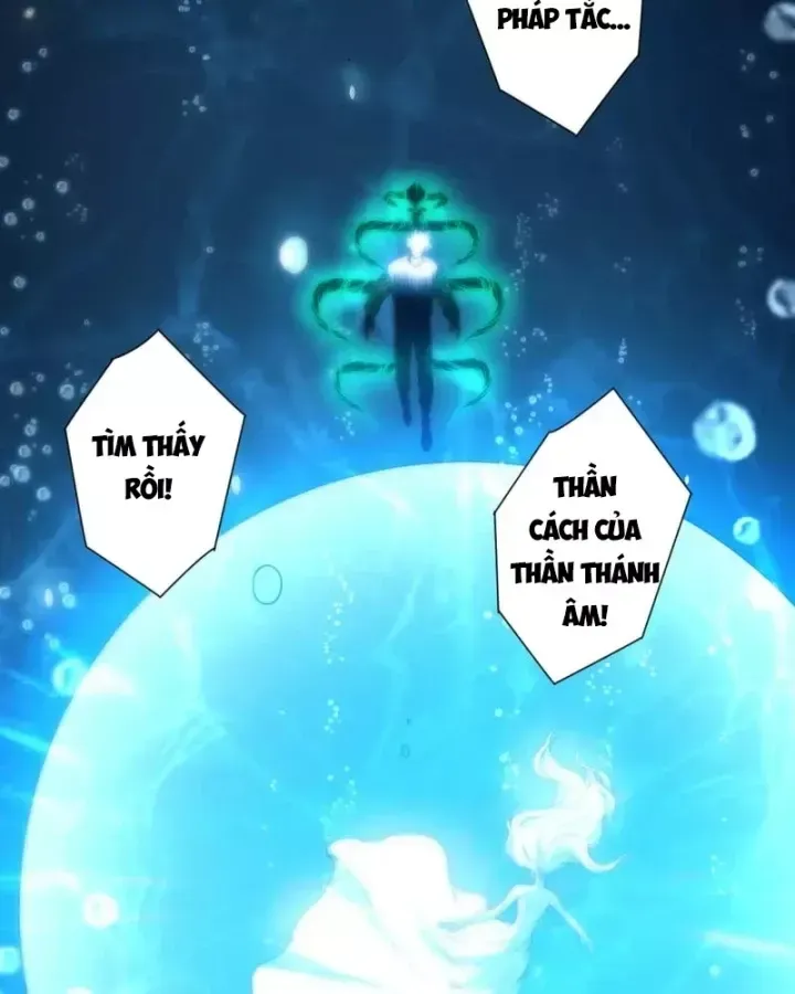 Thảm Họa Tử Linh Sư Chap 273.5 - Next Chap 274.5