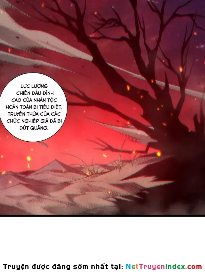 Thảm Họa Tử Linh Sư Chap 275 - Next Chap 276