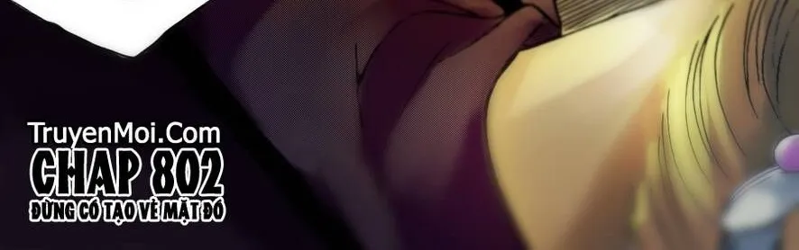 Thám Tử Lừng Danh Conan Chap 802 - Next Chap 803