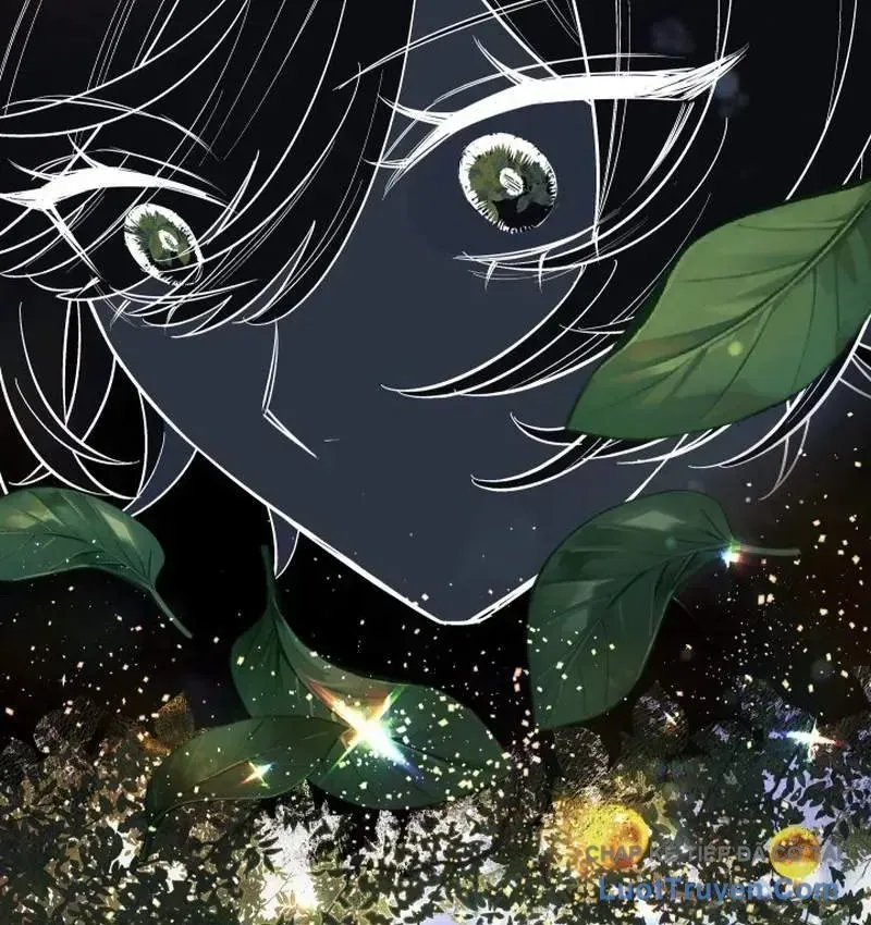 Thần Nhãn Ma Pháp Sư Chap 18 - Next Chap 19