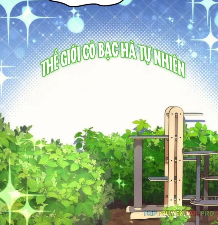 Thần Thịnh Vượng Chap 26 - Next Chap 27