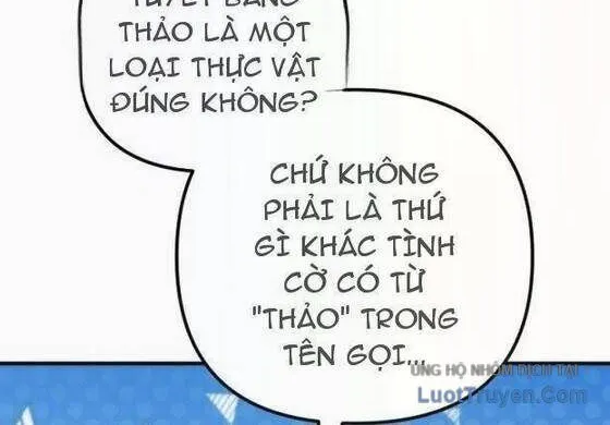 Thần Thịnh Vượng Chap 33 - Next Chap 34