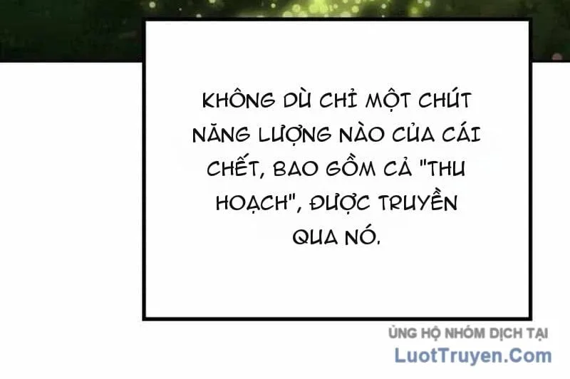 Thần Thịnh Vượng Chap 63 - Next Chap 64