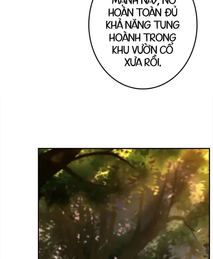 Thánh Giả Thăng Cấp Nhờ Chiêu Hồn Sư Chap 3 - Next Chap 4