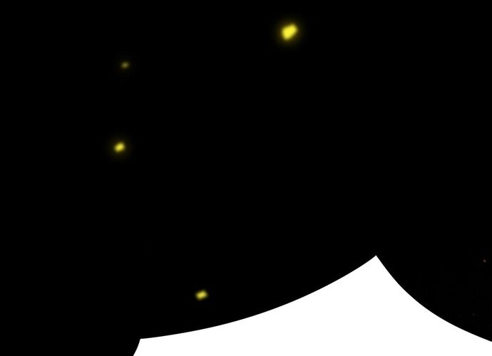 Thánh Hiệp Sĩ Cấp Sss Chap 23 - Next Chap 24