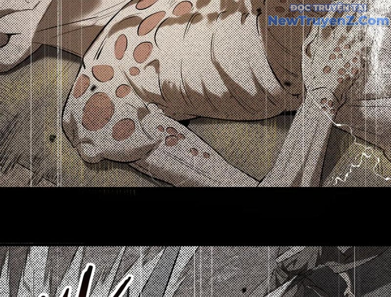 Thánh Hiệp Sĩ Cấp Sss Chap 70 - Next Chap 71