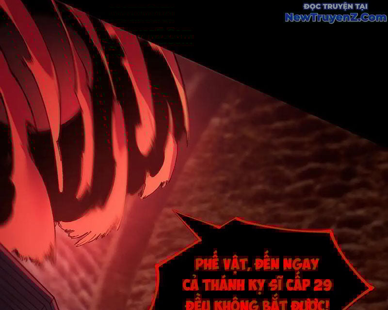 Thánh Hiệp Sĩ Cấp Sss Chap 75 - Next Chap 76