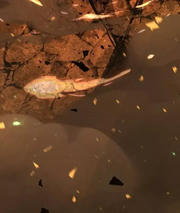 Thanh Mai Trúc Mã Của Đệ Nhất Thiên Hạ Chap 103 - Next Chap 104