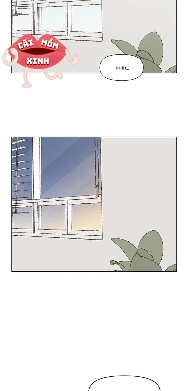 Thanh Xuân Ngọt Ngào Chap 72 - Next Chap 73