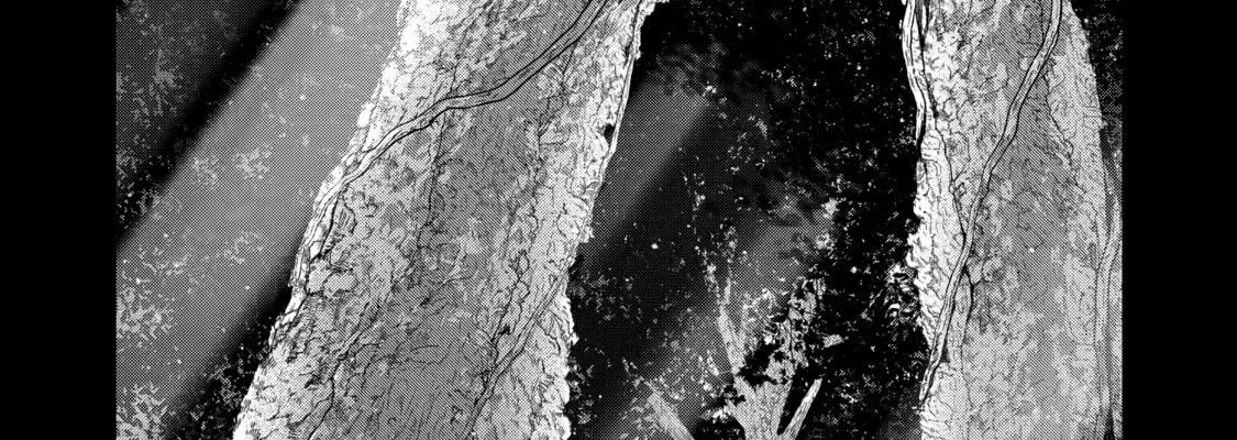 The Executed Sage Who Was Reincarnated as a Lich and Started an All-Out War Chap 13 - Next Chap 14