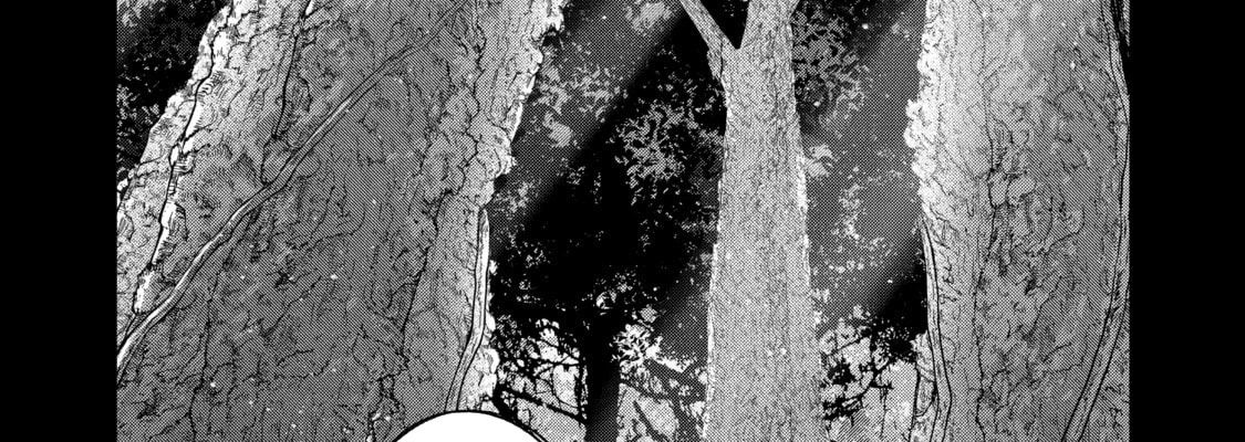 The Executed Sage Who Was Reincarnated as a Lich and Started an All-Out War Chap 13 - Next Chap 14