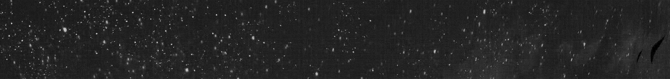 The Executed Sage Who Was Reincarnated as a Lich and Started an All-Out War Chap 13 - Next Chap 14