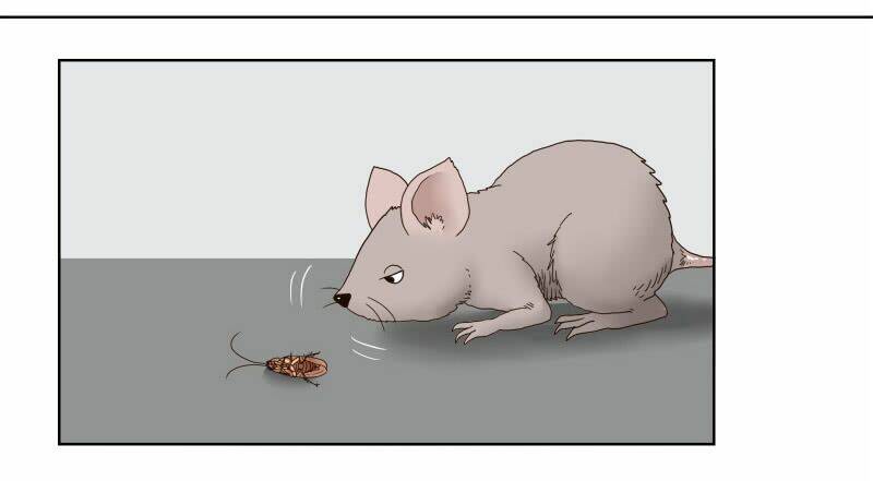 Thế Giới Cận Tử Chap 1 - Next Chap 2