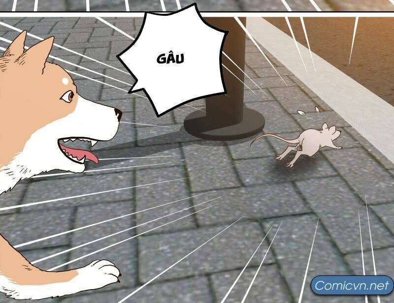 Thế Giới Cận Tử Chap 1 - Next Chap 2