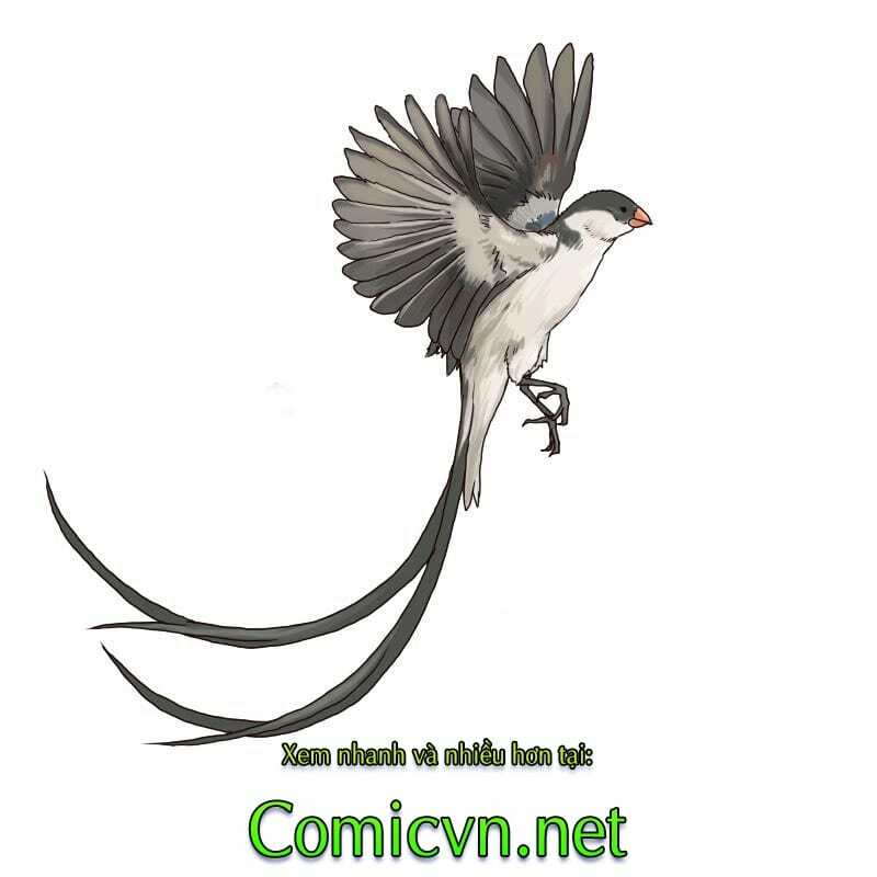 Thế Giới Cận Tử Chap 2 - Next Chap 3