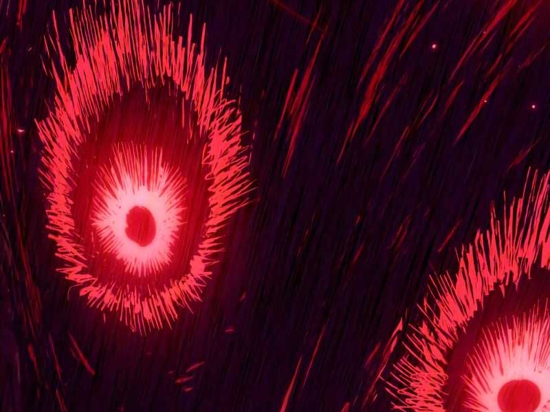 Thế Giới Sau Tận Thế Chap 29 - Next Chap 30