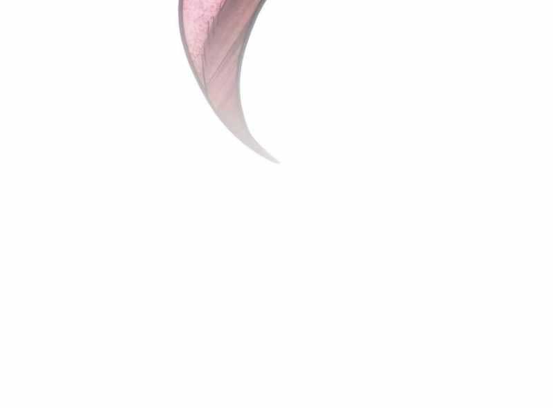 Thế Giới Sau Tận Thế Chap 57 - Next Chap 58