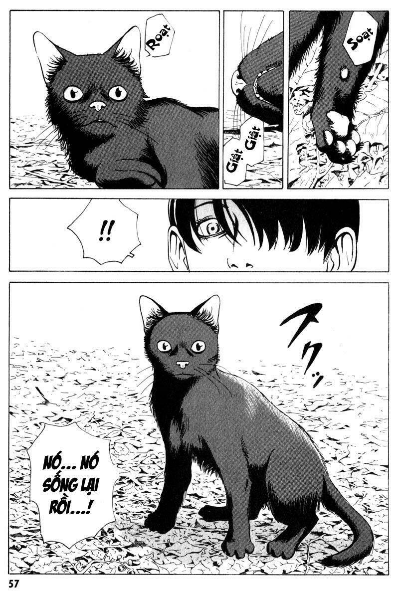 The Kurosagi Corpse Delivery Service Chap 6 - Next Chap 7