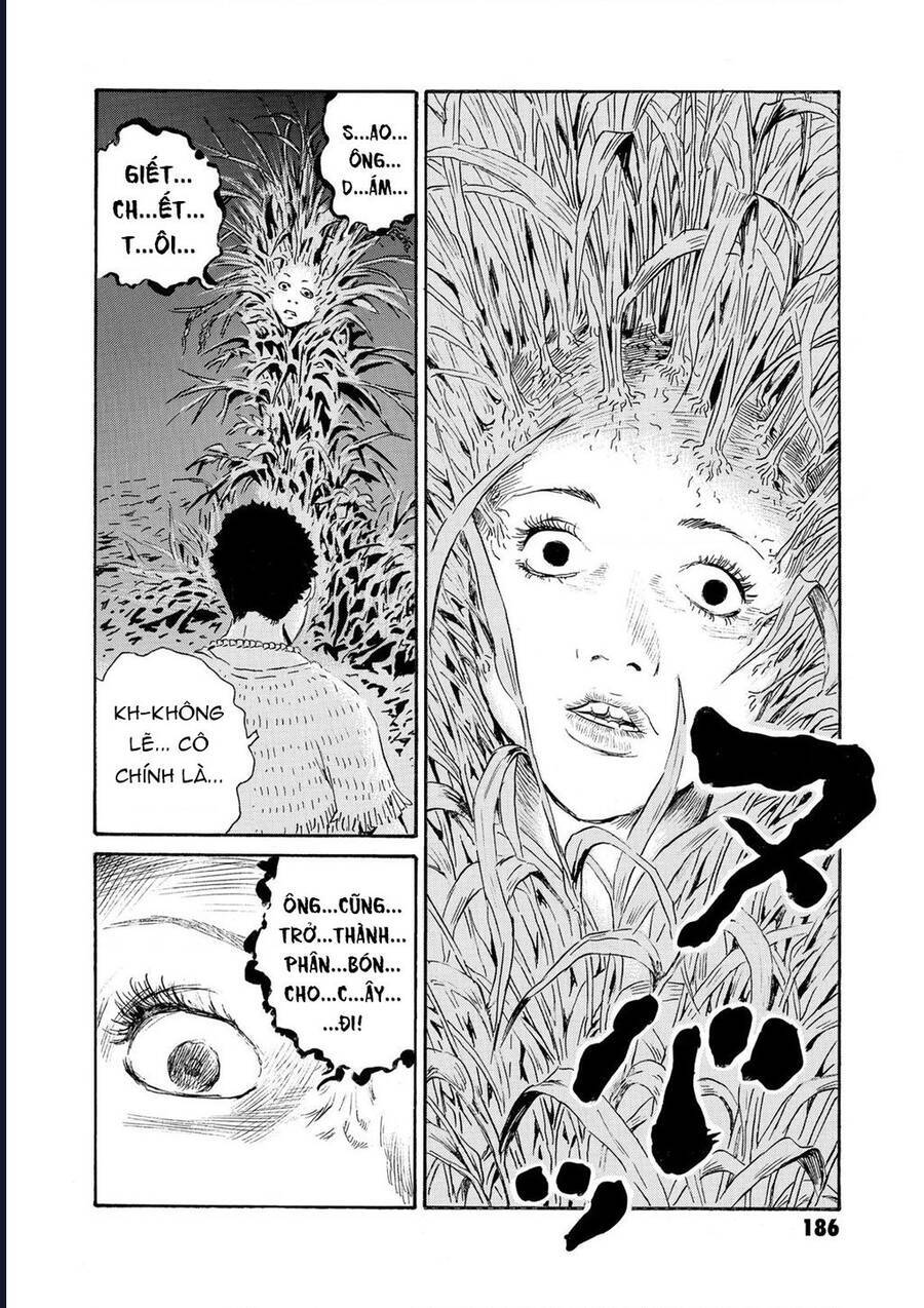 The Kurosagi Corpse Delivery Service Chap 82 - Next Chap 83