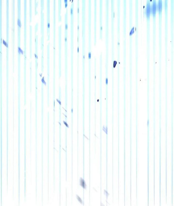 The Live Chap 2 - Next Chap 3