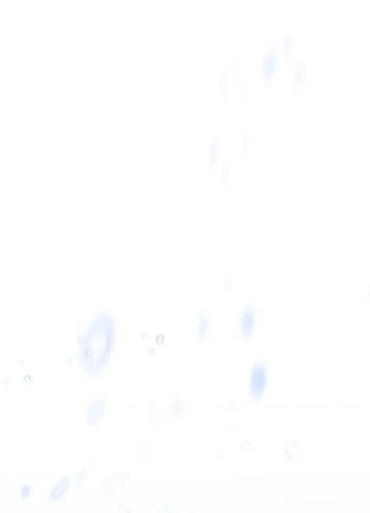 The Live Chap 32 - Next Chap 33