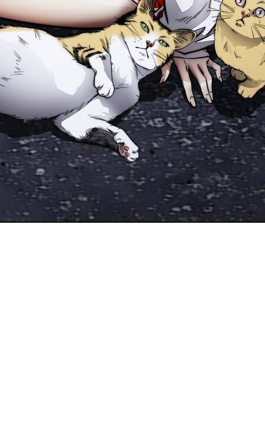 Thể Thao Cực Hạn Chap 382 - Next Chap 383