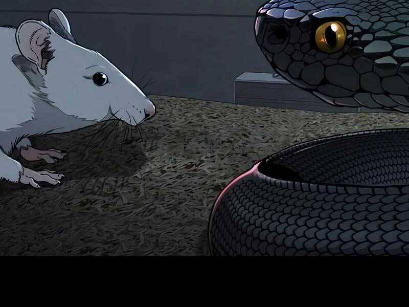 Thể Thao Cực Hạn Chap 524 - Next Chap 525