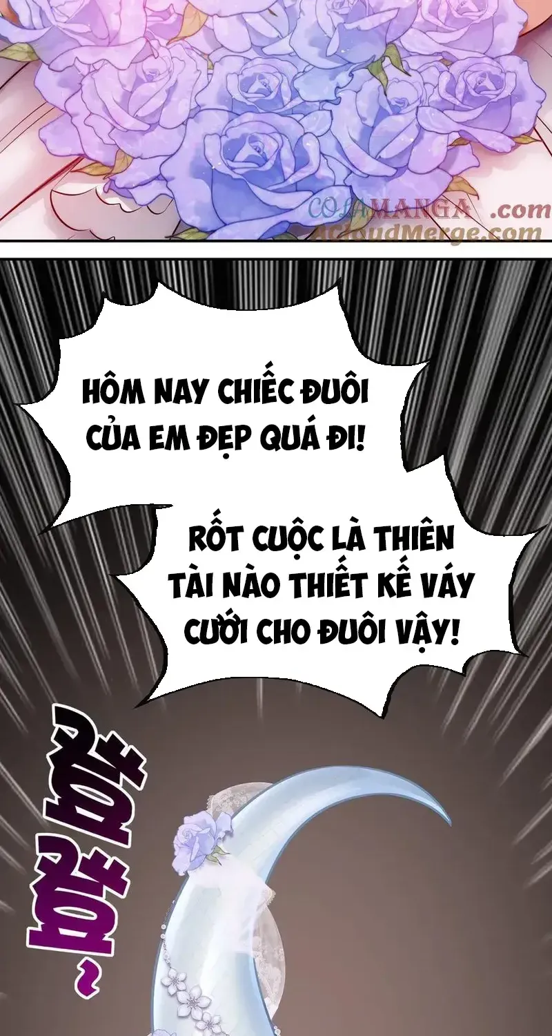 Thích Đuôi Lớn Thì Sao? Chap 71 - Next Chap 72