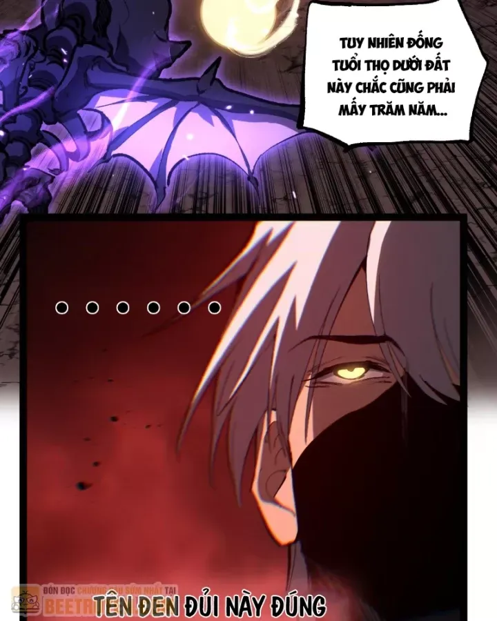 Thích Khách Thần Cấp, Ta Chính Là Bóng Đêm Chap 102 - Next Chap 103