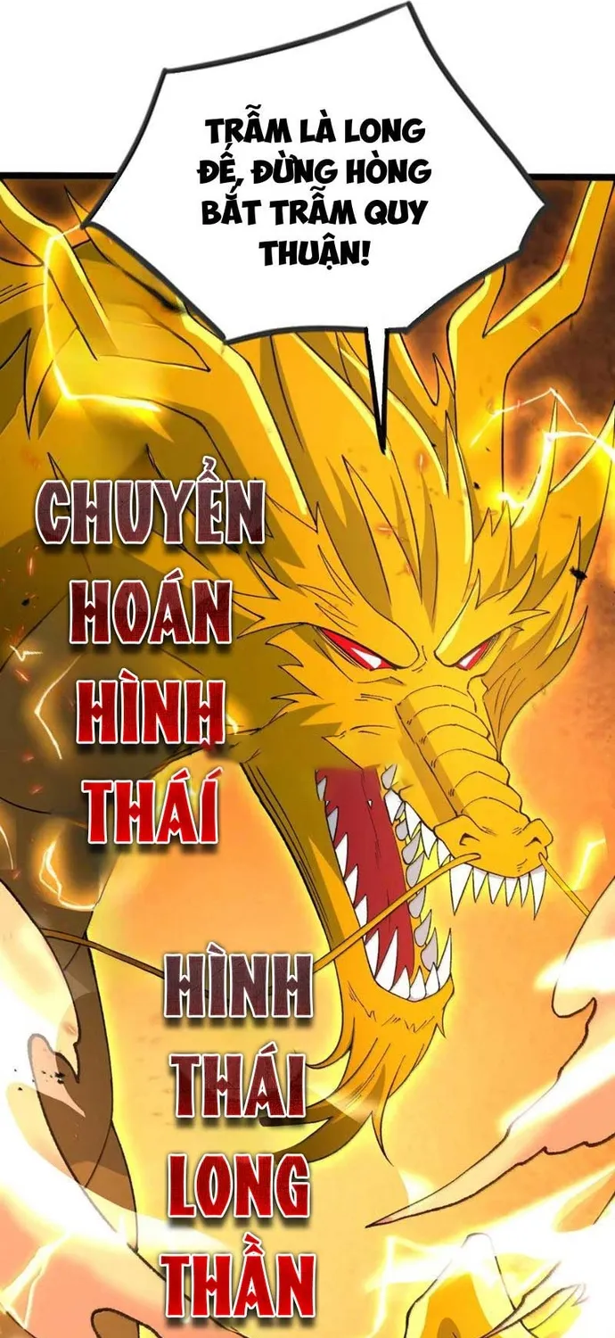 Thiên Đạo Này Cũng Không Ngốc Lắm Chap 192 - Next Chap 193