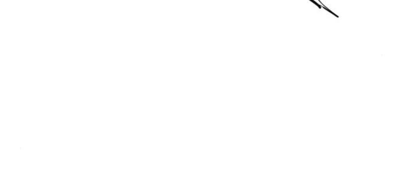 Thiên Hạ Đệ Nhất Nhân Chap 27 - Next Chap 28