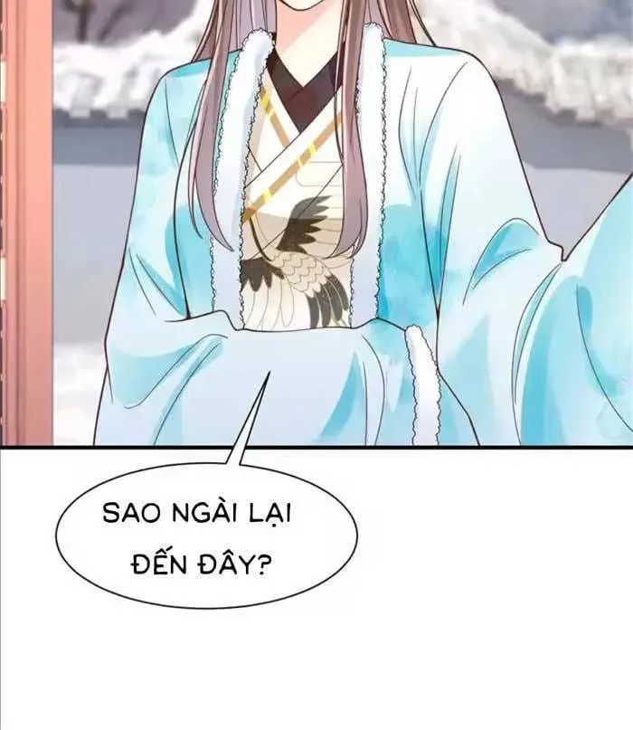 Thiên Kim Độc Phi Trọng Sinh Chap 81 - Next Chap 82