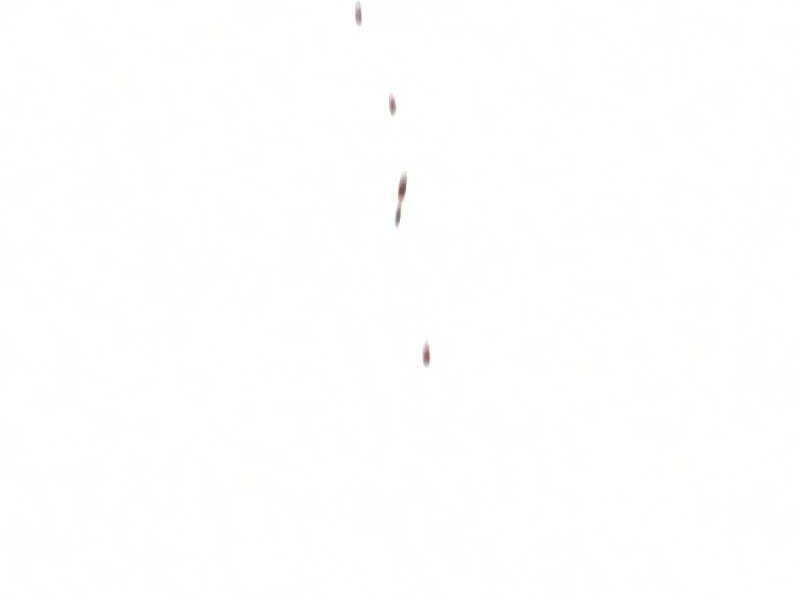 Thiên Ma Phi Thăng Truyện Chap 16.5 - Next Chap 17.5