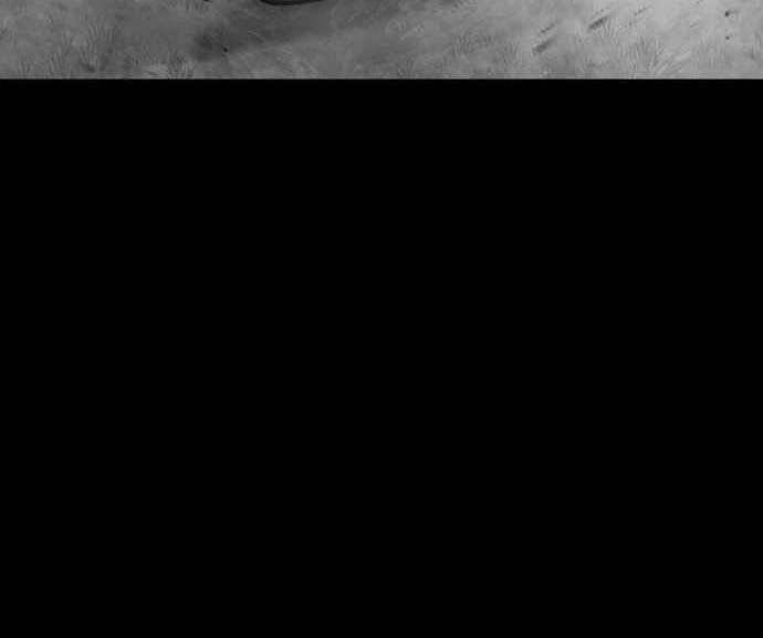 Thiên Ma Phi Thăng Truyện Chap 48 - Next Chap 49