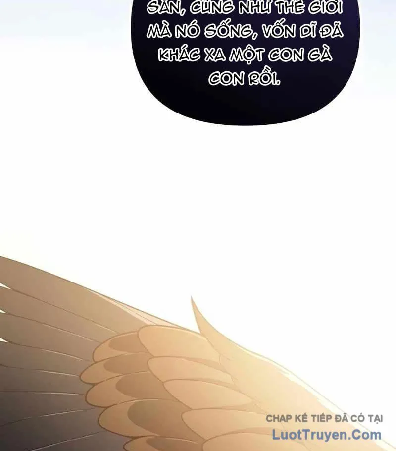 Thiên Tài Bình Dị Chap 61 - Next Chap 62