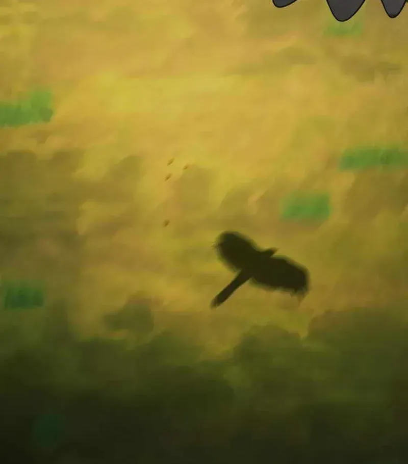 Thiên Tài Bình Dị Chap 61 - Next Chap 62