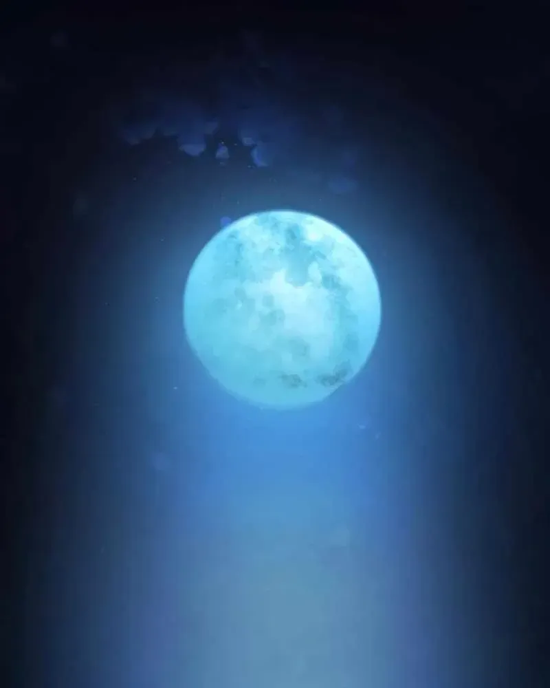 Thiên Tài Bình Dị Chap 61 - Next Chap 62